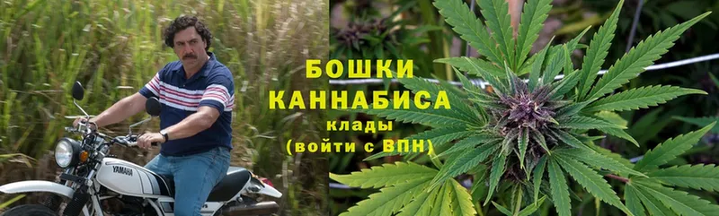 Конопля OG Kush  Адыгейск 